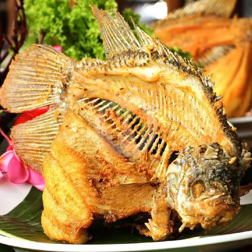 Gurami Goreng 9 Ons